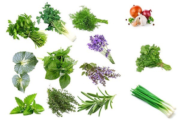 Không chỉ kích thích vị giác, những loại rau thơm này còn có tác dụng chữa bệnh cực tốt - Ảnh 2 Không chỉ kích thích vị giác, những loại rau thơm này còn có tác dụng chữa bệnh cực tốt - Ảnh 2