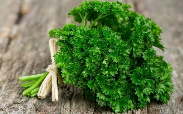Các loại rau như mùi tây, húng quế chứa nhiều canxi, có thể duy trì sức khỏe răng, xương và cột sống. Các loại rau như mùi tây, húng quế chứa nhiều canxi, có thể duy trì sức khỏe răng, xương và cột sống.