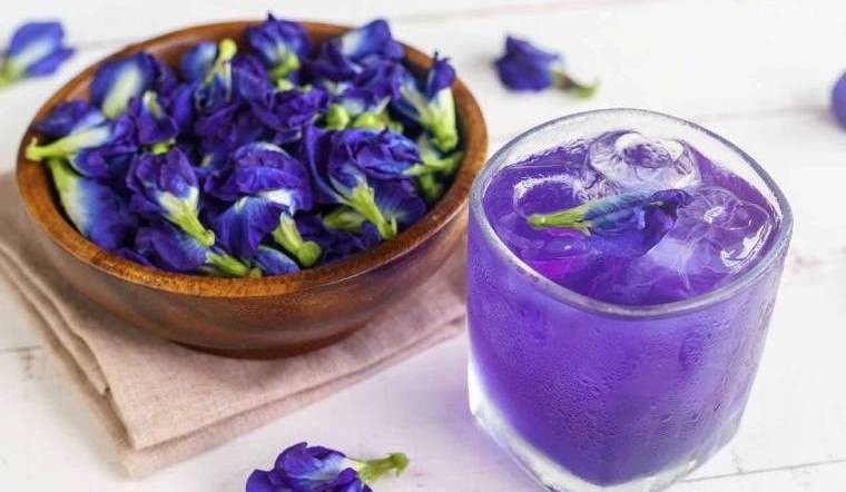 Trà hoa đậu biếc có mùi thơm của hương vị gỗ và hương đất, vị như các loại trà xanh hảo hạng, hương thơm ngọt nhẹ. Trà hoa đậu biếc có mùi thơm của hương vị gỗ và hương đất, vị như các loại trà xanh hảo hạng, hương thơm ngọt nhẹ.