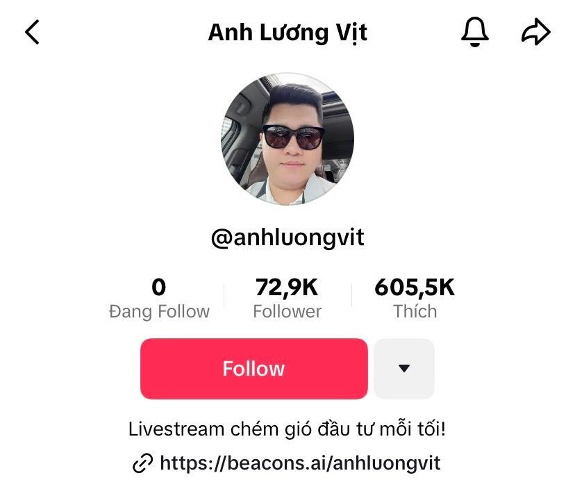 ANHLUONGVIT - Tiktoker triệu view được theo dõi hàng đầu bởi các nhà đầu tư chứng khoán - Ảnh 2 ANHLUONGVIT - Tiktoker triệu view được theo dõi hàng đầu bởi các nhà đầu tư chứng khoán - Ảnh 2