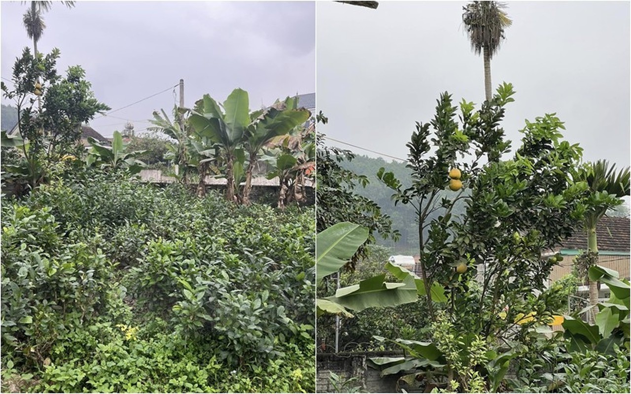 Á hậu Đào Hiền khoe không gian sống khang trang bề thế, vườn rau sạch khiến hội chị em mơ ước - Ảnh 3