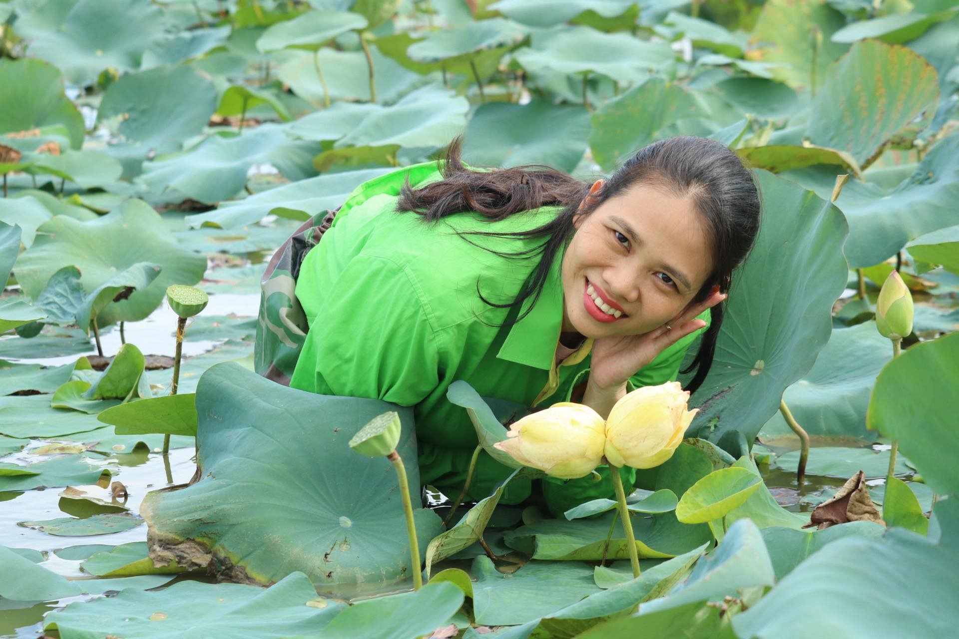 Đây là bông sen tịnh đế Bỉ Ngạn Vàng lần đầu tiên xuất hiện ở Nghệ An nói riêng và cả nước nói chung. Dòng sen Bỉ Ngạn Trắng được HTX Sen quê Bác trồng từ mấy năm trước đây. Riêng Bỉ Ngạn Vàng mới được mua giống từ nước ngoài về trồng trong vườn ươm từ tháng 10/2021.Theo chị Nguyễn Thị Hồng, đại diện HTX Sen quê Bác, lần đầu gia đình mua 3 củ sen Bỉ Ngạn Vàng, thời điểm đó mỗi củ có giá từ 500.000 đồng đến 1 triệu đồng. Sau gần 1 năm thả xuống đầm thì cho màu sắc rất đẹp. Dòng sen Bỉ Ngạn Vàng dạng tầm thấp không quá 1m, nếu thả ở đầm sâu thì khó phát triển. Sen này có màu sắc lạ nên giới cắm hoa thích nhất là các cánh phải nở bung xoè. Điểm nhấn của loại sen này là ướp trà cho mùi hương rất ngọt. Ảnh: H.Q.