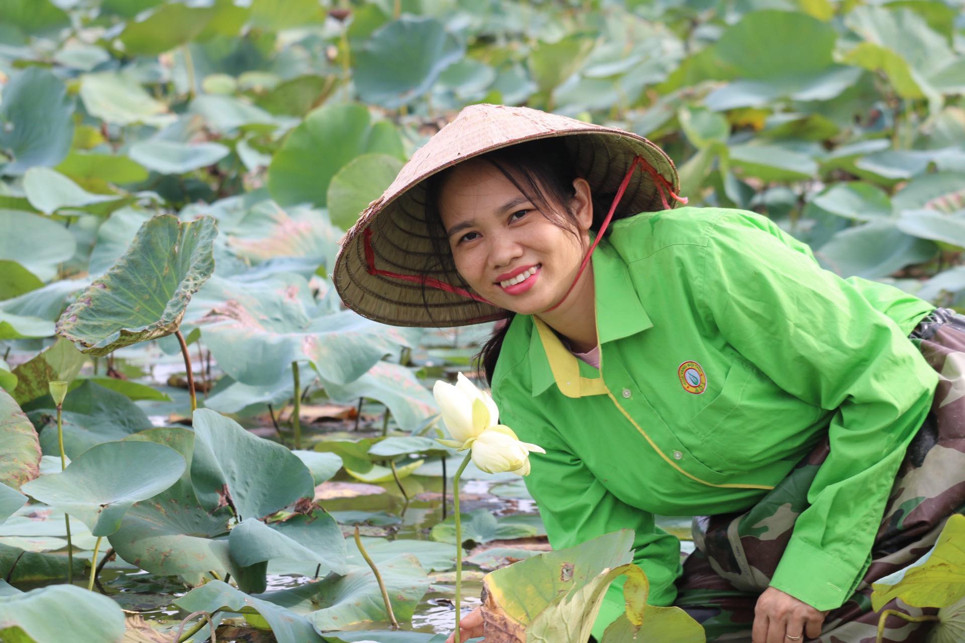 Còn đây là bông tịnh đế Bỉ Ngạn Trắng. Dòng sen này thì thi thoảng xuất hiện ở một số đầm ở các tỉnh, thành. Dòng sen Bỉ Ngạn Trắng được HTX trồng từ mấy năm trước đây. 'Khi nhắc đến sen tịnh đế, mọi người thường nghĩ đến những điều may mắn, tốt lành trong cuộc sống đang đến. Điều đặc biệt là một bông sen tịnh đế Bỉ Ngạn Vàng và một bông sen tịnh đế Bỉ Ngạn Trắng cùng chung một đầm, cách nhau gần 2m', chị Hồng cho biết thêm. Ảnh: H.Q.