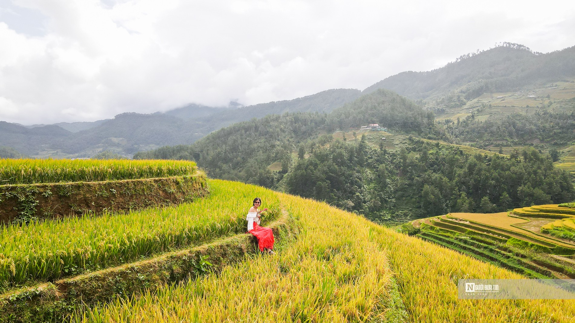 Vào mùa lúa chín, những thửa ruộng bậc thang vàng óng ở Mù Cang Chải nối tiếp nhau tới tận chân trời khiến du khách mê đắm.
