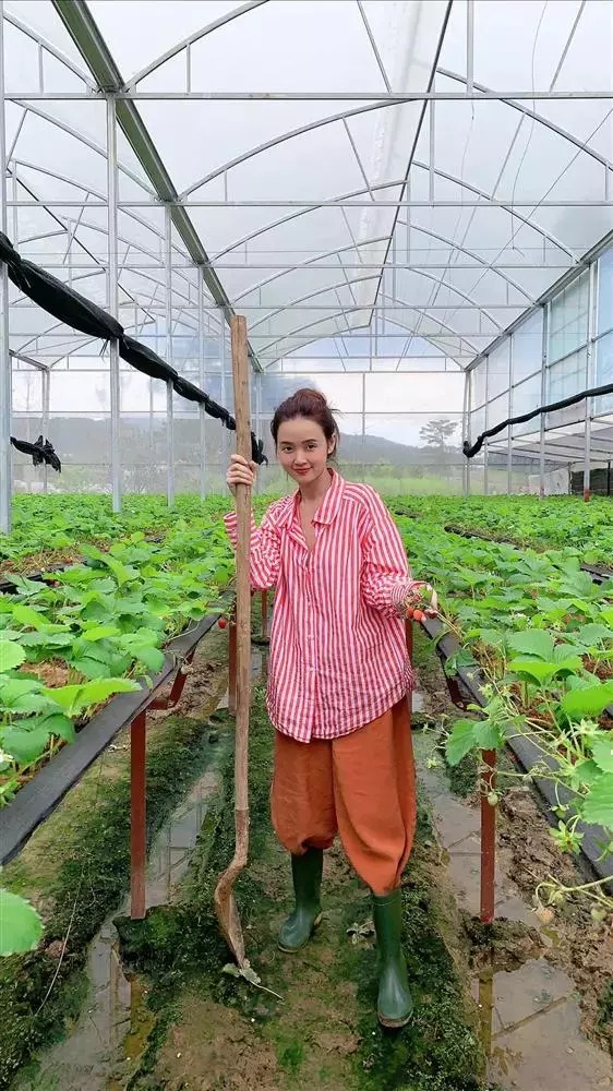 Midu trông vô cùng giản dị khi đi làm vườn (Ảnh: FBNV) Midu trông vô cùng giản dị khi đi làm vườn (Ảnh: FBNV)