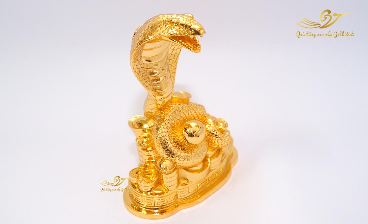 Người tuổi Tỵ sống mạnh mẽ, quyết đoán và được dự đoán sẽ có nhiều tài vận (Ảnh: Internet)