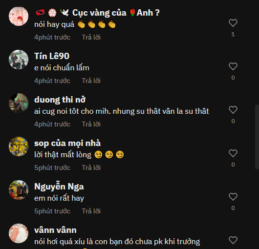 Thanh Đoàn 'đáp trả' khi con lớn lên sẽ bị xấu hổ vì không có mẹ 3 Thanh Đoàn 'đáp trả' khi con lớn lên sẽ bị xấu hổ vì không có mẹ 3