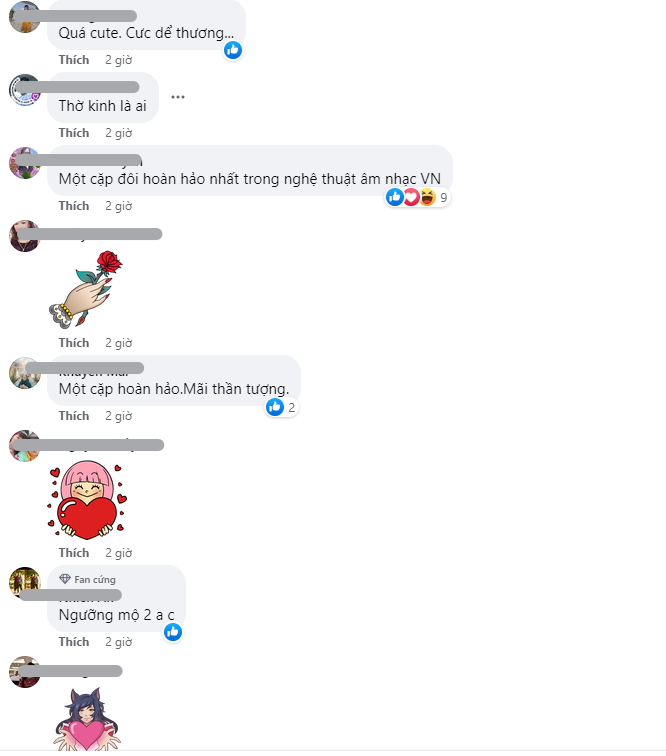 CDM để lại bình luận phía dưới bài đăng của Đàm Vĩnh Hưng (Ảnh: Chụp màn hình)