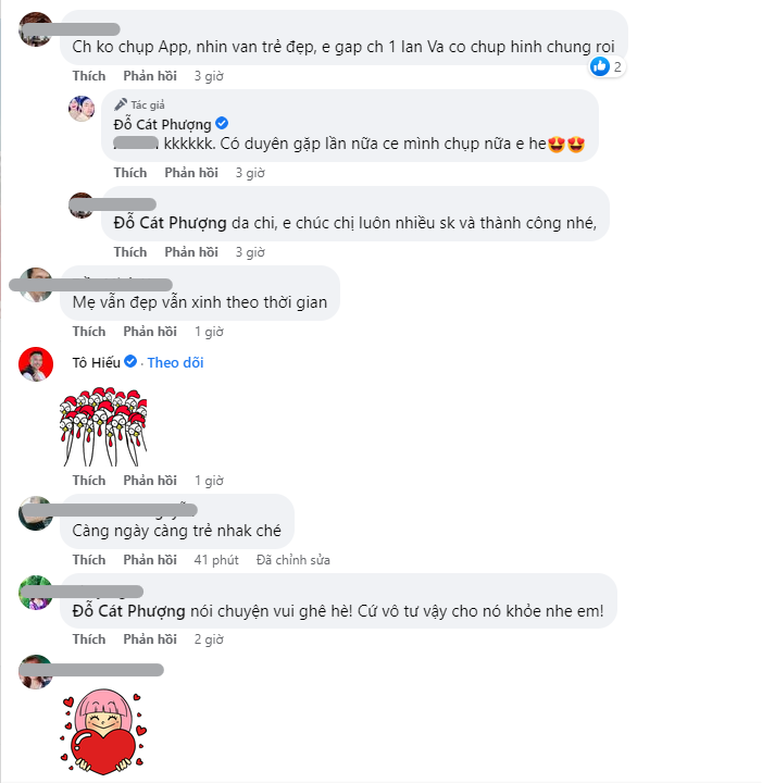 Nhạc sĩ Tô Hiếu cùng CDM để lại bình luận dưới bài đăng của Cát Phượng (Ảnh: Chụp màn hình)