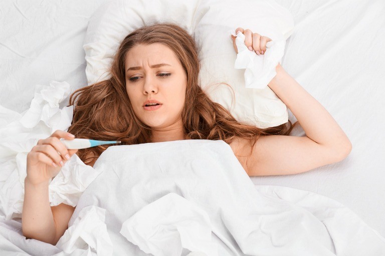 Cây mật gấu có công dụng hạ sốt, trị ho, chống lão hóa, chống ung thư, điều hòa đường huyết,…