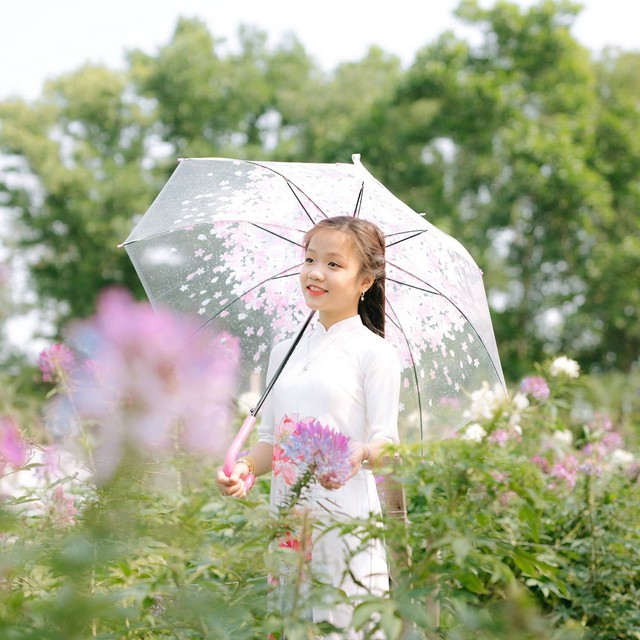 Tú Thanh được Tổ chức Guinness Việt Nam xác lập kỷ lục 'Nghệ sĩ hát nhạc dân tộc nhỏ tuổi nhất' (Ảnh: FBNV)