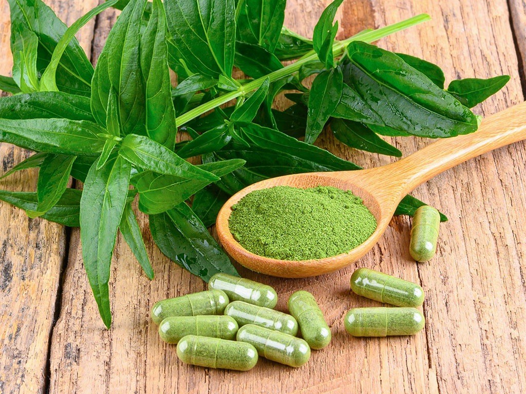 Xuyên tâm liên: Loại cây với 100+ công dụng mà ít người biết tới - Ảnh 1