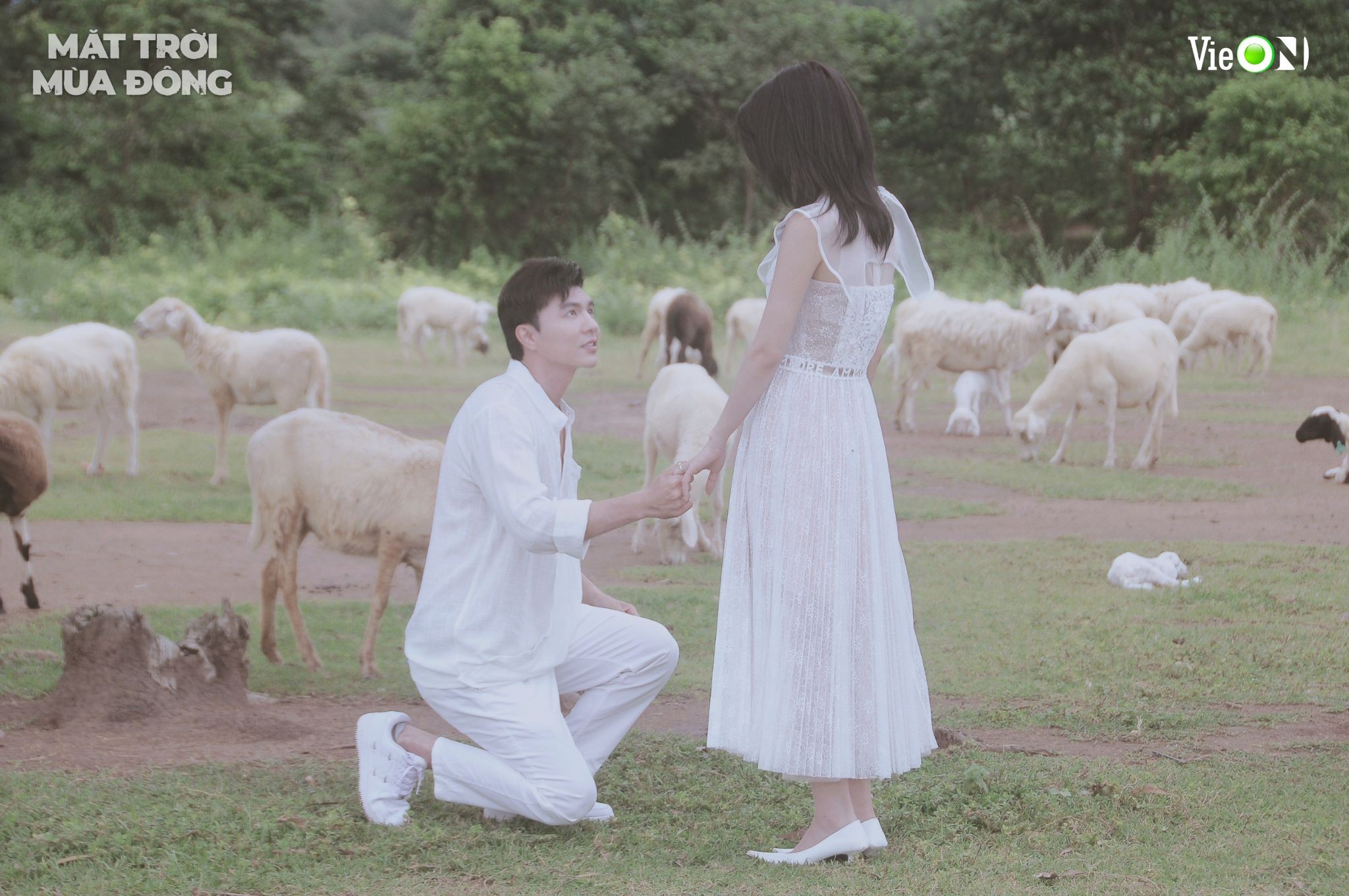 Steven Nguyễn thừa nhận áp lực khi diễn cảnh hôn với Trình Mỹ Duyên - Ảnh 3