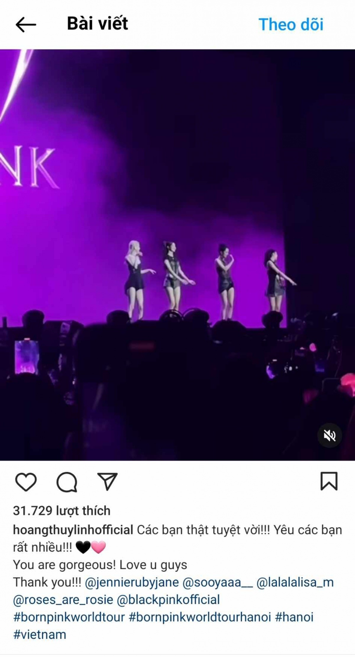 Bài đăng của Hoàng Thuỳ Linh (Ảnh: Chụp màn hình)