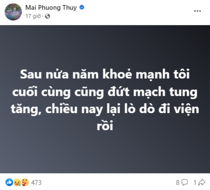 Bài đăng của Mai Phương Thúy khiến nhiều người chú ý. Ảnh: Chụp màn hình Bài đăng của Mai Phương Thúy khiến nhiều người chú ý. Ảnh: Chụp màn hình