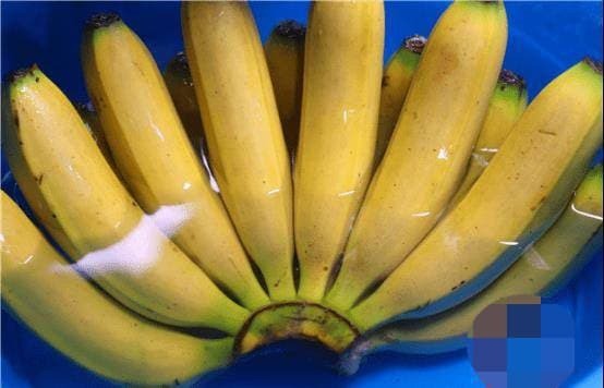 Giữ chuối tươi trọn vẹn 1 tháng, người bán trái cây mách bạn loạt bí thuật khiến nhiều người phải học - Ảnh 3 Giữ chuối tươi trọn vẹn 1 tháng, người bán trái cây mách bạn loạt bí thuật khiến nhiều người phải học - Ảnh 3