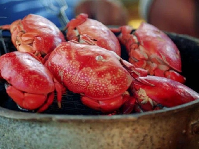 Dân sành ăn phải biết: Có 1 món chỉ có tại Quảng Ninh, thưởng thức 1 lần nhớ mãi - Ảnh 1