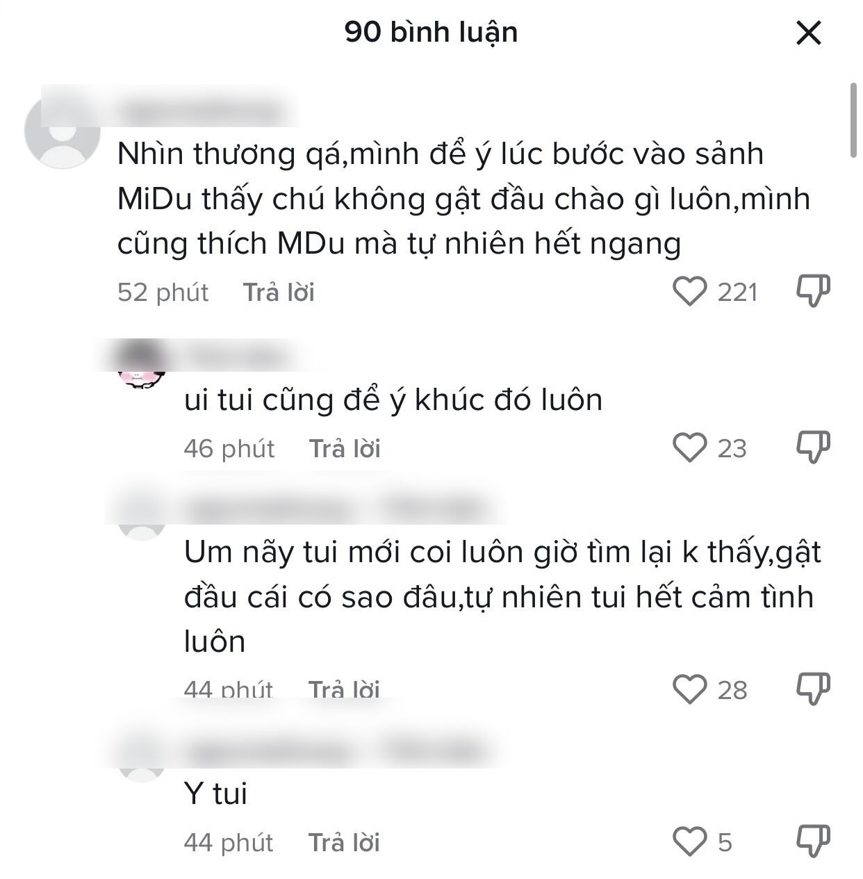 CDM để lại bình luận xoay quanh khoảnh khắc của Midu. Ảnh: Chụp màn hình