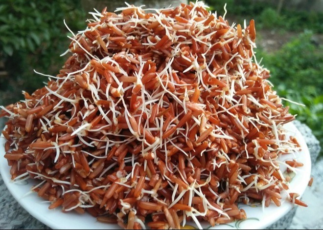 Bà nội trợ nằm lòng 3 thực phẩm mặc dù mọc mầm nhưng không độc, gấp đôi dinh dưỡng - Ảnh 3 Bà nội trợ nằm lòng 3 thực phẩm mặc dù mọc mầm nhưng không độc, gấp đôi dinh dưỡng - Ảnh 3