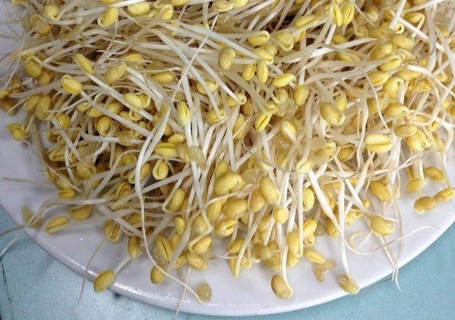Bà nội trợ nằm lòng 3 thực phẩm mặc dù mọc mầm nhưng không độc, gấp đôi dinh dưỡng - Ảnh 1 Bà nội trợ nằm lòng 3 thực phẩm mặc dù mọc mầm nhưng không độc, gấp đôi dinh dưỡng - Ảnh 1