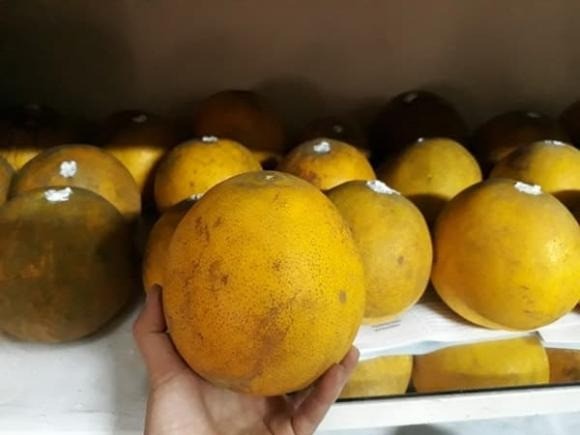 Tết cận kề, cách trữ bưởi để không bị thối: Xuống nước ăn lại ngọt đến lạ - Ảnh 1 Tết cận kề, cách trữ bưởi để không bị thối: Xuống nước ăn lại ngọt đến lạ - Ảnh 1