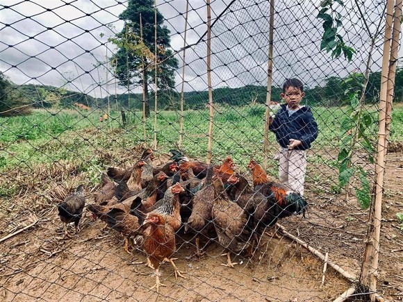 Nhóc tỳ nhà Lý Hải được sống gần gũi với thiên nhiên, học cách nuôi gà, cho gà ăn. Ảnh: FB Lý Hải Minh Hà. Nhóc tỳ nhà Lý Hải được sống gần gũi với thiên nhiên, học cách nuôi gà, cho gà ăn. Ảnh: FB Lý Hải Minh Hà.