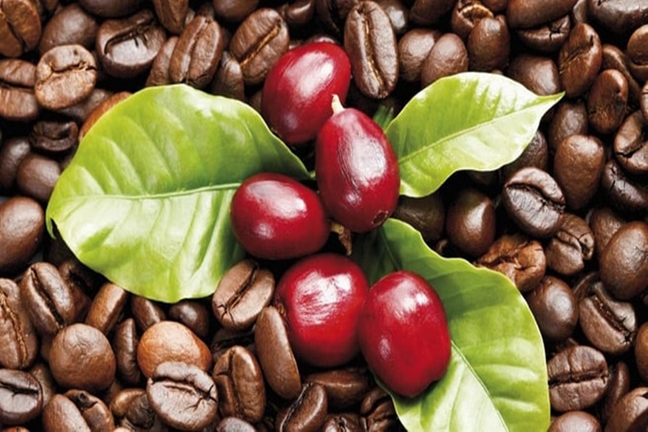 Cập nhật Giá cả thị trường cà phê mới nhất hôm nay 25/6/2023. Ảnh: Internet.