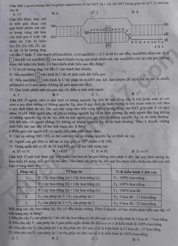 Đáp án đề thi môn Sinh học kỳ thi tốt nghiệp THPT 2023 mã đề 213 - Ảnh 3 Đáp án đề thi môn Sinh học kỳ thi tốt nghiệp THPT 2023 mã đề 213 - Ảnh 3