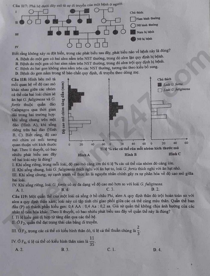 Đáp án đề thi môn Sinh học kỳ thi tốt nghiệp THPT 2023 mã đề 213 - Ảnh 5 Đáp án đề thi môn Sinh học kỳ thi tốt nghiệp THPT 2023 mã đề 213 - Ảnh 5