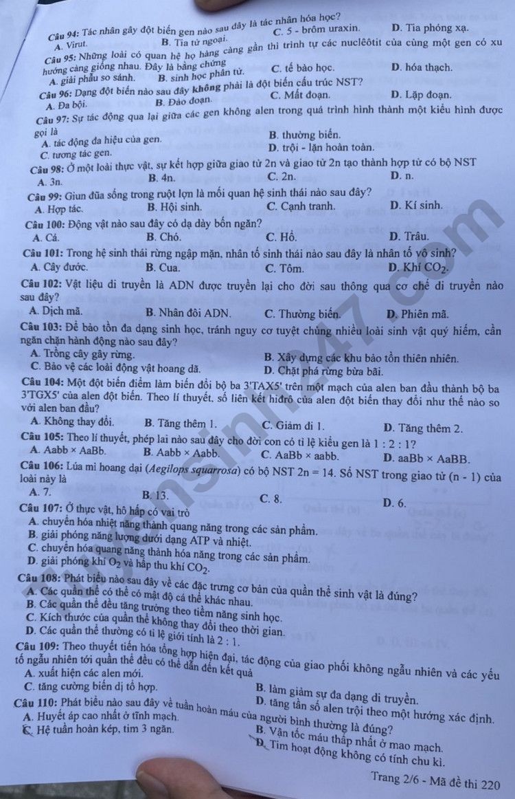 Đáp án đề thi môn Sinh học kỳ thi tốt nghiệp THPT 2023 mã đề 220 - Ảnh 2 Đáp án đề thi môn Sinh học kỳ thi tốt nghiệp THPT 2023 mã đề 220 - Ảnh 2