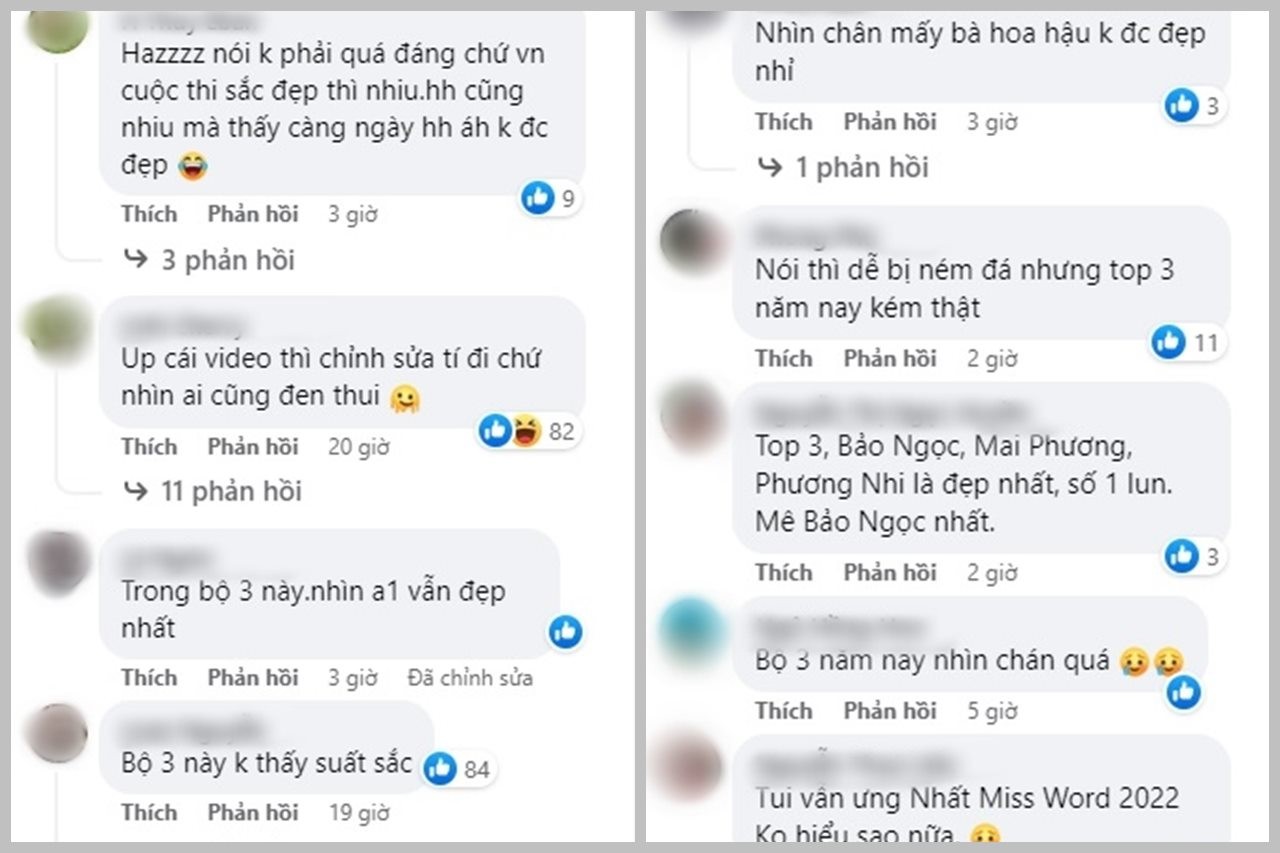 Bình luận của cư dân mạng. Ảnh chụp màn hình.