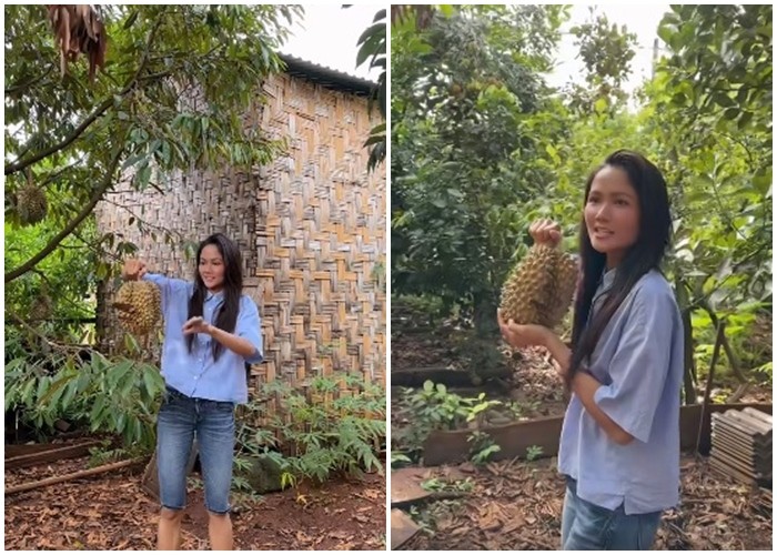H'Hen Niê làm clip đi hái sầu riêng ở vườn nhà. Ảnh chụp màn hình.
