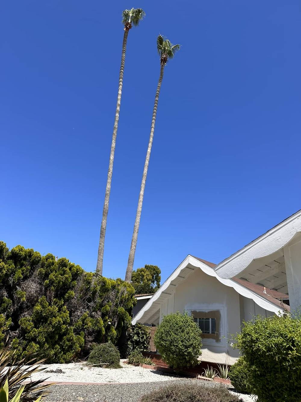 Một vài hình ảnh về cơ ngơi mới của nam ca sĩ. Ảnh Fb Quang Lê.