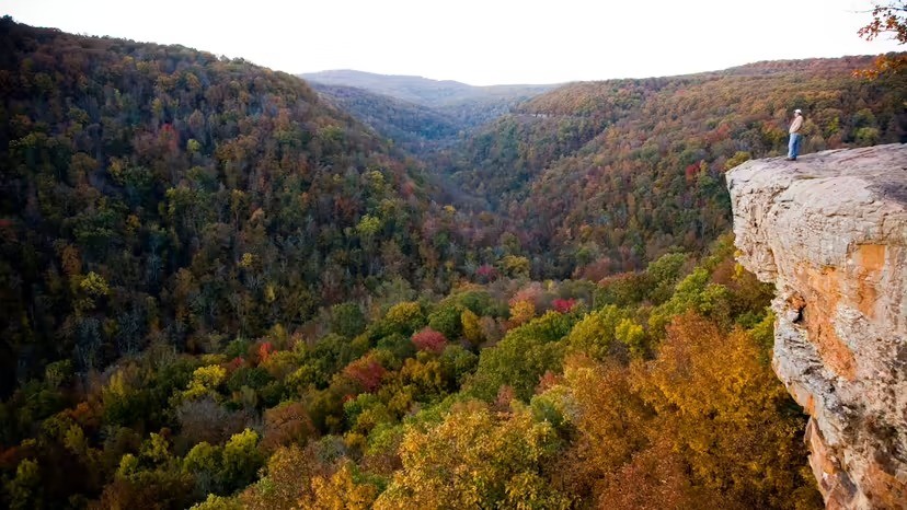 Khu vực rừng rậm Arkansas tại Công viên bang Devil's Den nơi Katherine Van Alst mất tích trong 6 ngày. Khu vực rừng rậm Arkansas tại Công viên bang Devil's Den nơi Katherine Van Alst mất tích trong 6 ngày.