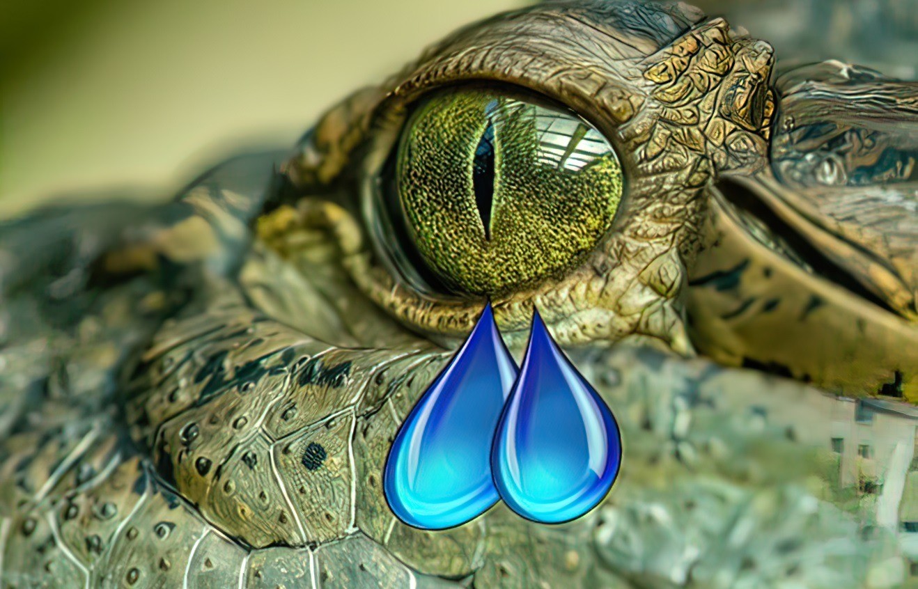 Ảnh minh họa. Ảnh Internet.