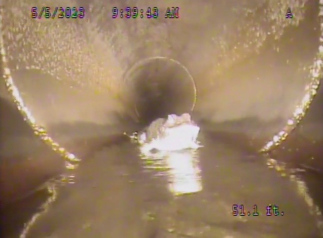 Khi robot tiến lại gần, họ mới phát hiện đây là con cá sấu. Ảnh New York Post