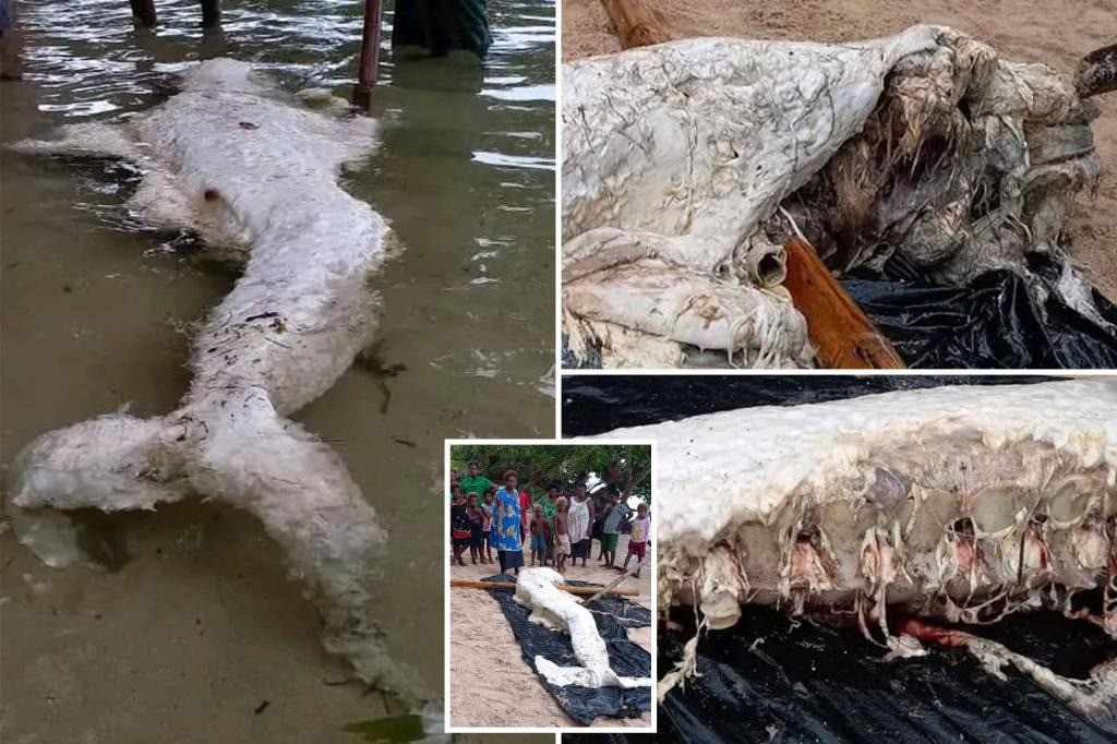 Một sinh vật biển kỳ lạ được người dân địa phương gọi là “nàng tiên cá” dạt vào bờ biển trên một hòn đảo ở Papua New Guinea.Ảnh New York Post.