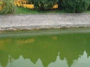 Dấu tích mái vòm - cổng vào của lăng mộ. Ảnh Sohu.