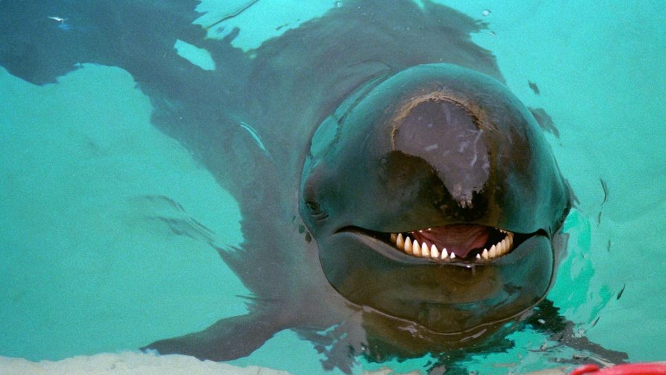 Ảnh: Barry King / Alamy