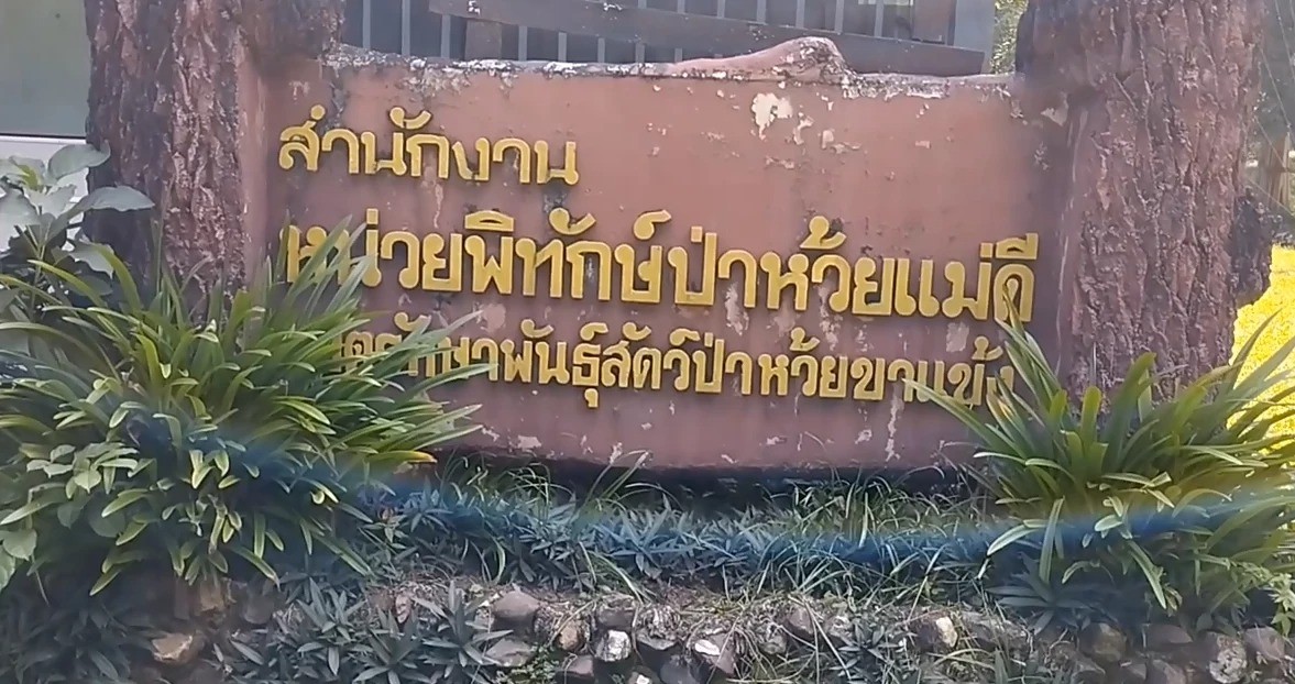 Khu bảo tồn động vật hoang dã Huai Kha Khaeng. 