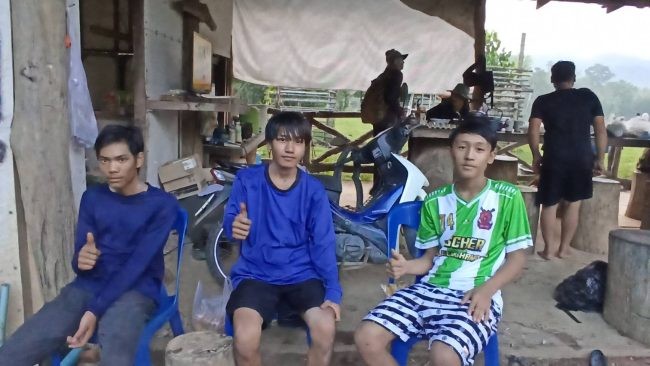 Ba thiếu niên rủ nhau vào rừng hái nấm để giúp bố mẹ kiếm tiền.