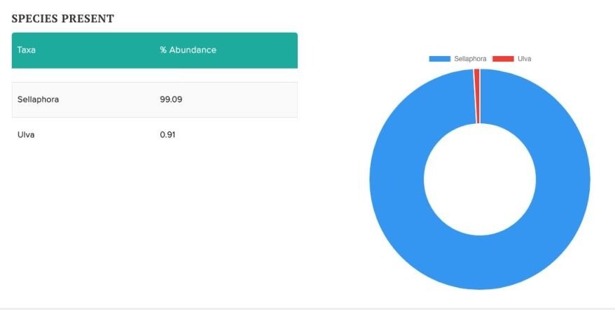 Kết quả phòng thí nghiệm trả về cho thấy hai loại tảo khác nhau.