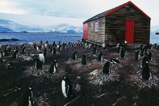 Bưu điện Port Lockroy (Nam Cực) chỉ có băng tuyết và chim cánh cụt.