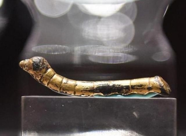 Con tằm vàng hiện đang được trưng bày tại Bảo tàng.