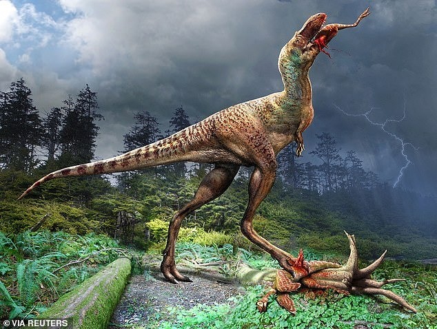 Các nhà khoa học phát hiện ra rằng bữa ăn cuối cùng của một con gorgosaurus tuổi trưởng thành là hai con khủng long con. Các nhà khoa học phát hiện ra rằng bữa ăn cuối cùng của một con gorgosaurus tuổi trưởng thành là hai con khủng long con.