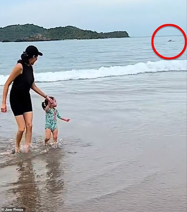 Marlene Luviano đang chơi đùa trên bờ biển với cô con gái, trong khi bạn trai của cô vô tình quay được khoảnh khắc kinh hoàng mà một du khách thiệt mạng trong một cuộc tấn công của sinh vật biển bí ẩn. Marlene Luviano đang chơi đùa trên bờ biển với cô con gái, trong khi bạn trai của cô vô tình quay được khoảnh khắc kinh hoàng mà một du khách thiệt mạng trong một cuộc tấn công của sinh vật biển bí ẩn.