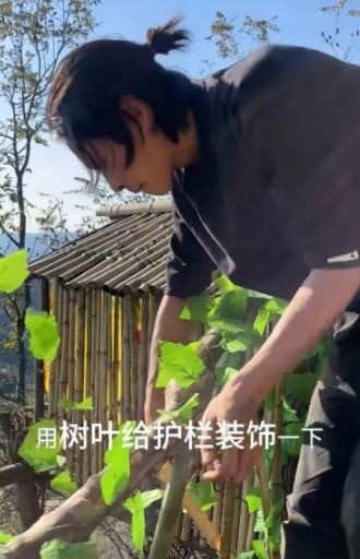 Liu Youwen chuyển về vùng núi sinh sống sau 3 năm miệt mài làm việc ở thành phố lớn. Liu Youwen chuyển về vùng núi sinh sống sau 3 năm miệt mài làm việc ở thành phố lớn.