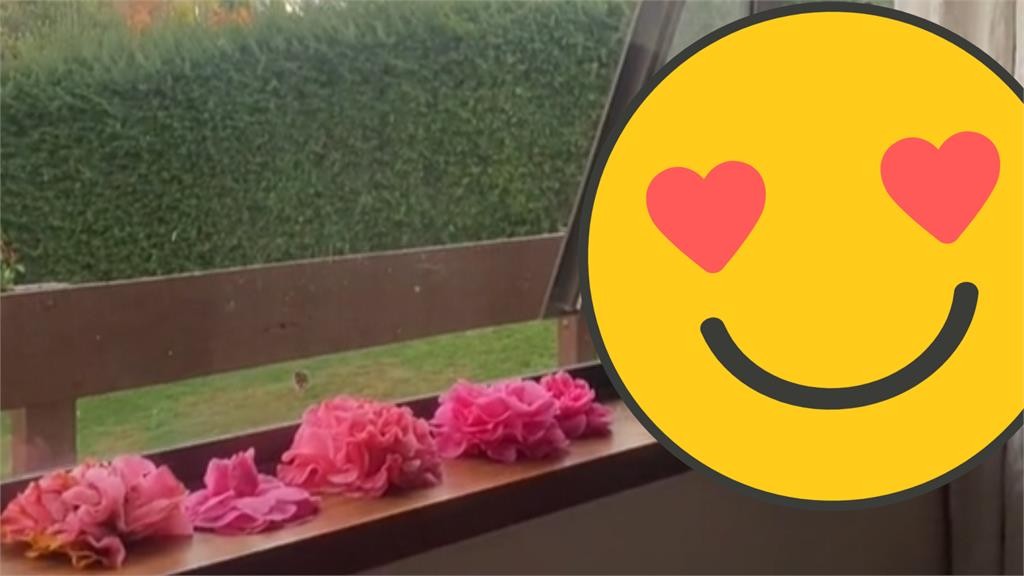 Căn phòng được rải đầy hoa của người phụ nữ ở New Zealand khiến cô tò mò vì không biết người tặng là ai.   Ảnh chụp màn hình