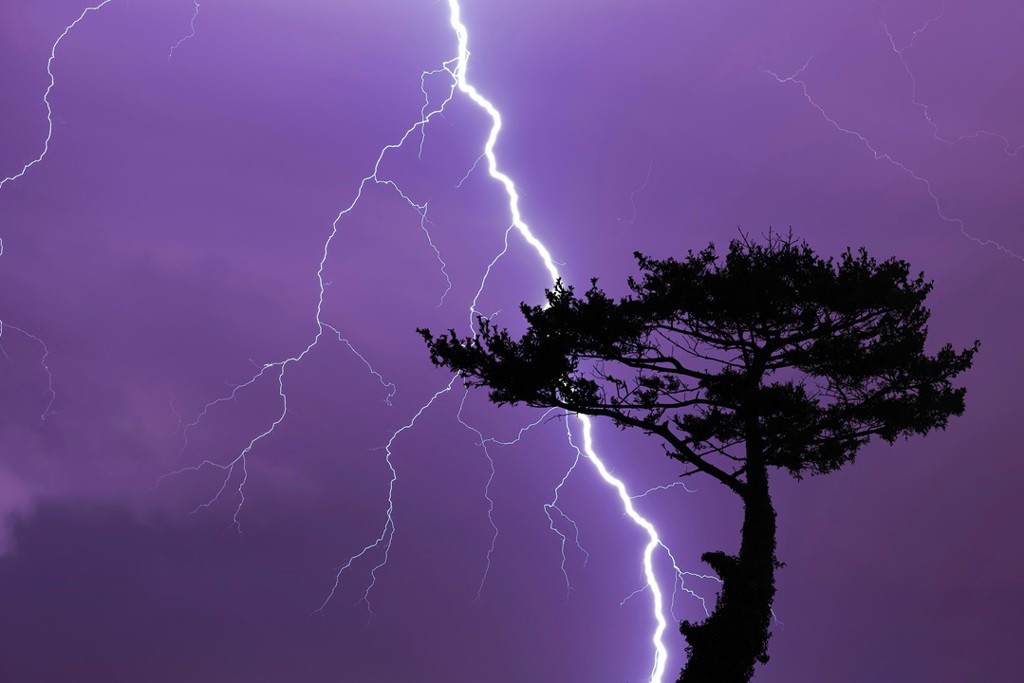 Ảnh minh họa. Ảnh Internet.