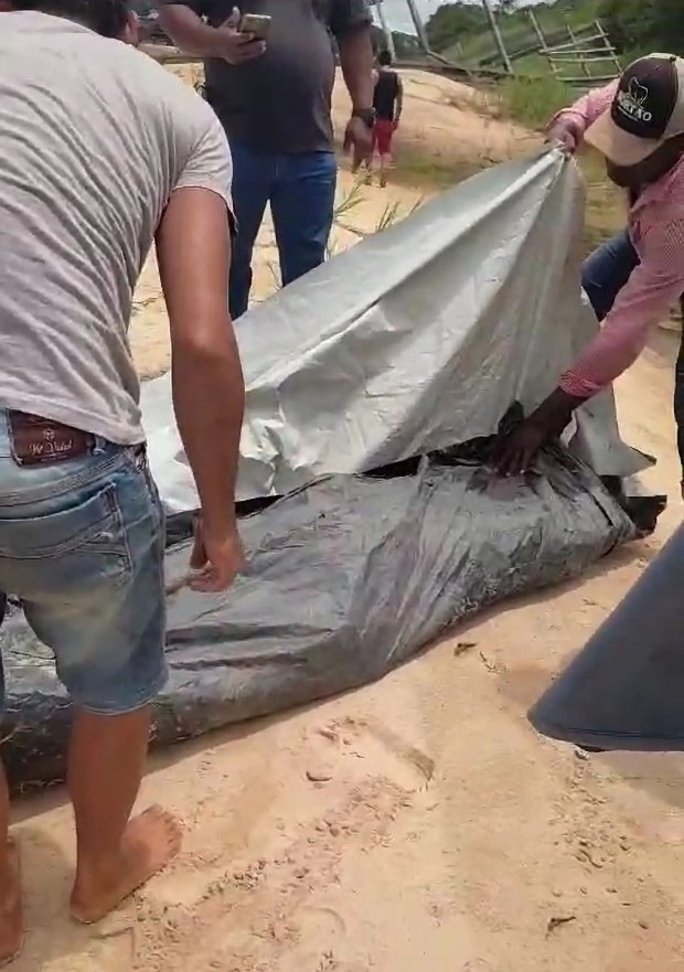 Khoảnh khắc Odair Raash được kéo ra khỏi sông Guapore chỉ còn lại bộ xương, nghi bị cá piranha ăn thịt. Khoảnh khắc Odair Raash được kéo ra khỏi sông Guapore chỉ còn lại bộ xương, nghi bị cá piranha ăn thịt.